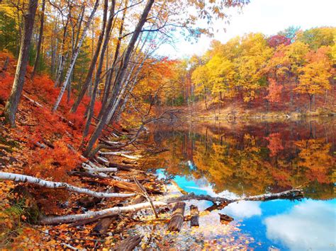 Fall Colors around Crater Lake in Michigan image - Free stock photo - Public Domain photo - CC0 ...