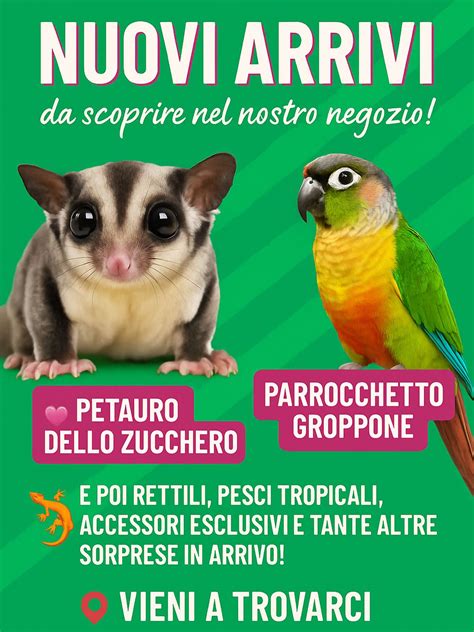 Portare Clienti Nel Nostro Negozio Con Internet 11 Strumenti Per Sapere Cosa Fare E Come Farlo Cinquanta Minuti Guide Rap Dautoform
