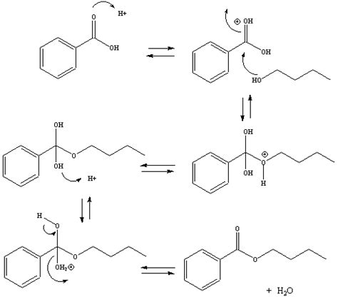 Synthesis of isopentyl acetate. Isopentyl Acetate Synthesis Lab Report Essay Essay. 2022-11-01