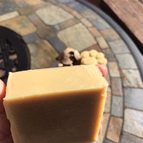 Vegan Dog Shampoo Bars Natural Made With Plant Based Oils Neem To