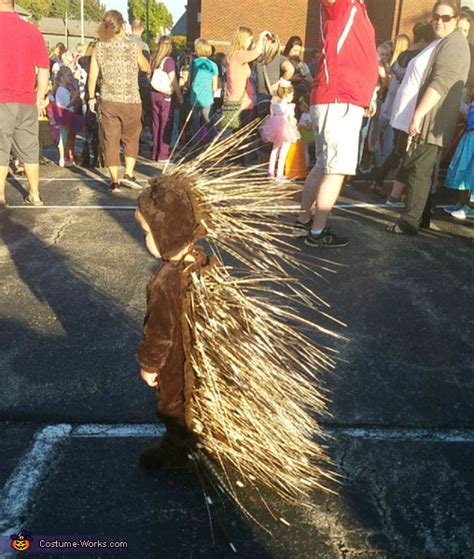 Porcupine Baby Costume | DIY Costumes Under $45