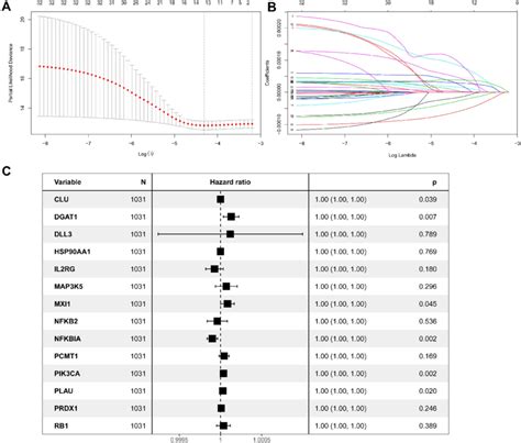 Identification Of A Prognosis Related Arg Based Signature In The Tcga