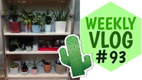 Haul Action Nouveau Meuble Weekly Vlog La Vie En Rousse Youtube