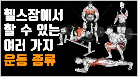 헬스 운동 종류 헬스장 가기전 알아두면 유용한 정보 2편 운동의 종류 인기 답변 업데이트