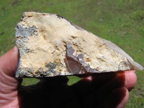 Polished Limb Cast Dendrite Butte Display Black Dendrites And White Orbs