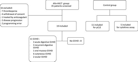 Flow Chart Allo‐hsct Allogeneic Hematopoietic Stem Cell Download Scientific Diagram