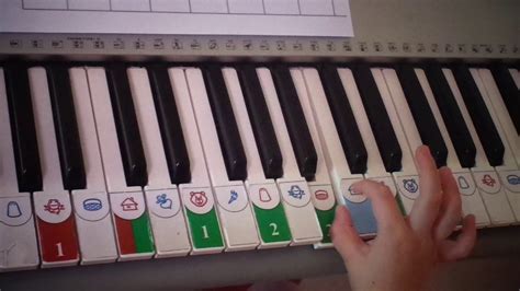 Черно-белый кот правой рукой - YouTube