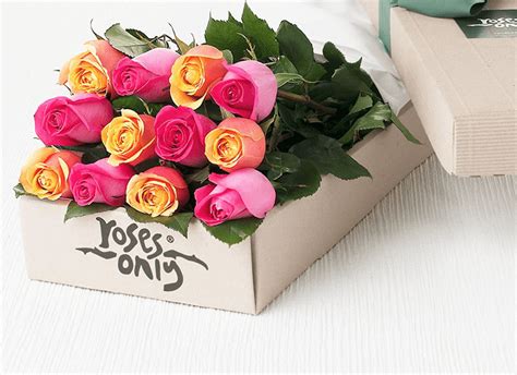 Same Day Flower Delivery Roses Only Singapore Online Florist