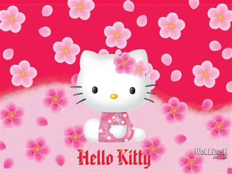 Hello Kitty Ipad Wallpapers Top Free Hello Kitty Ipad Backgrounds Wallpaperaccess