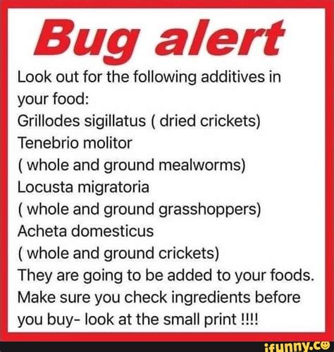 Bug Alert Look Out For The Following Additives In Your Food Grillodes