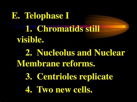 Meiosis The Formation Of Sex Cells Ppt Download