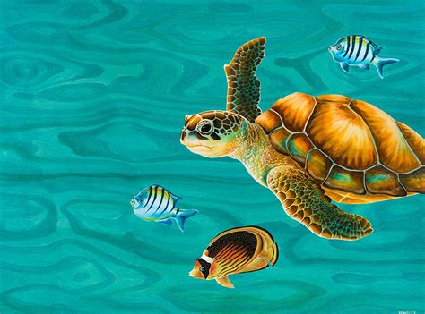 Sea Turtle Painting Canvas at PaintingValley.com | Explore collection ...