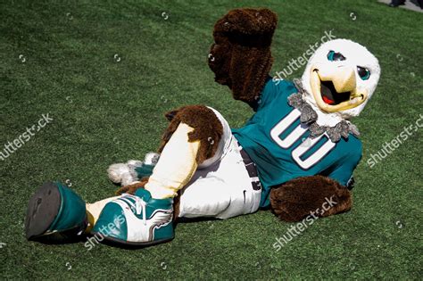 Philadelphia Eagles Mascot Swoop Reacts During Editorial Stock Photo ...