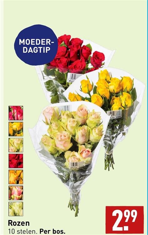 Rozen Aanbieding Bij Aldi