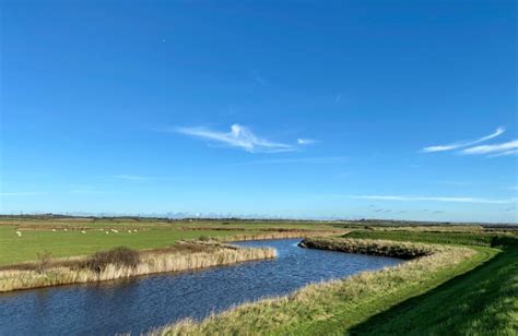 Marsh Farm Country Park | Explore Essex