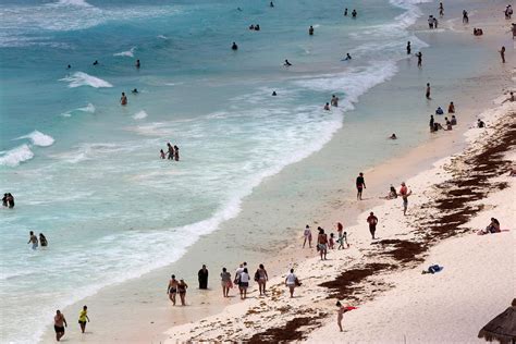 En Quintana Roo Se Han Recolectado 52 Mil Toneladas De Sargazo Durante