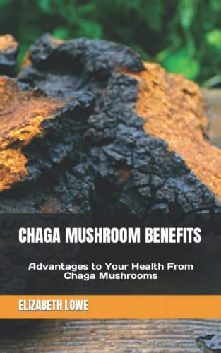 CHAGA MUSHROOM BENEFITS: Advantages to Your Health From Chaga Mushrooms ...