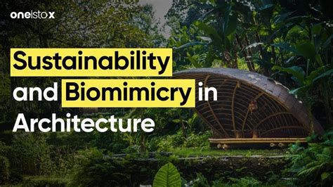 Practising Sustainability And Biomimicry In Architecture Youtube