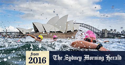 Video Australia Day 2016 The Great Sydney Swim