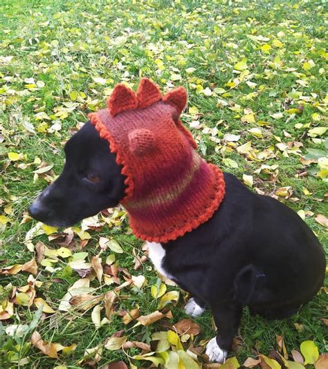 Dog Hatsknitted Hatoriginal Hat To Orderhat Dinohat Etsy