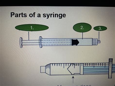 Parenteral Medication Jr Flashcards Quizlet