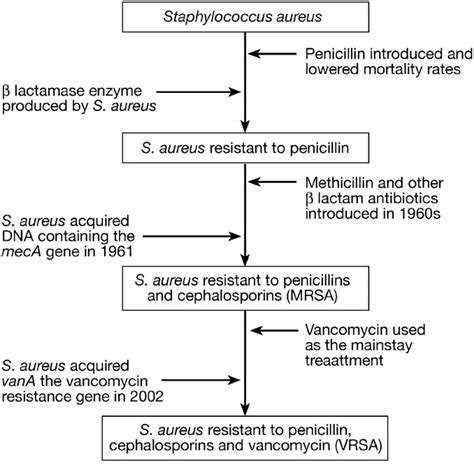 Methicillin Resistant Staphylococcus Aureus In The Critically Ill