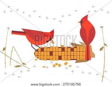 Cute Red Northern Vector & Photo (Free Trial) | Bigstock