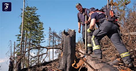 Waldbr Nde In Hessen Bessere Ausr Stung F R Feuerwehren