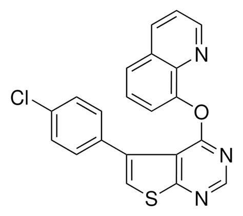 8 5 4 CHLOROPHENYL THIENO 2 3 D PYRIMIDIN 4 YL OXY QUINOLINE