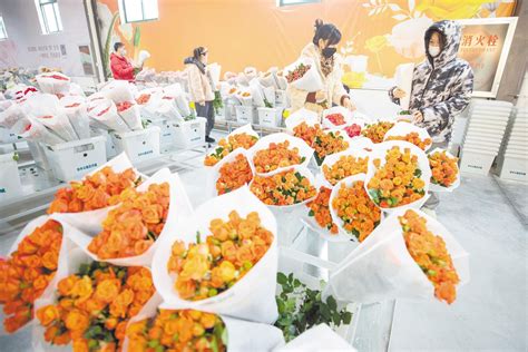 鲜花小镇赏芬芳花卉 味道小镇品舌尖美味 名车小镇看靓车荟萃 汉口北“三小镇”开启体验式消费 荆楚网 湖北日报网