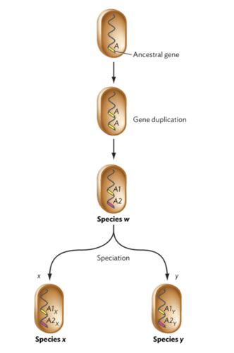 Microbiology Ch 9 Bacterial Genomes And Evolution Inquizitive Study