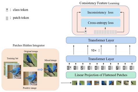 Entropy Free Full Text Hybrid Granularities Transformer For Fine