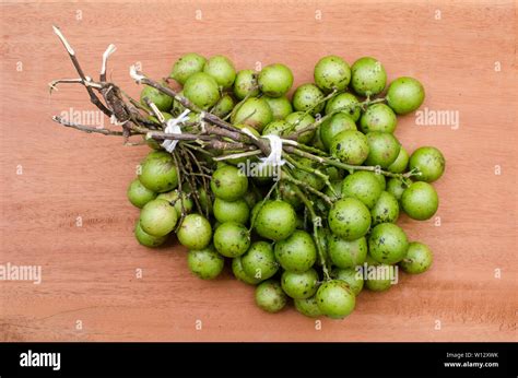 Fruits of Melicoccus bijugatus Stock Photo - Alamy