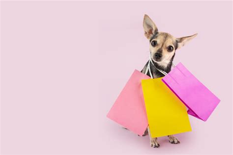 Dog Pink Background Images – Browse 62,138 Stock Photos, Vectors, and ...