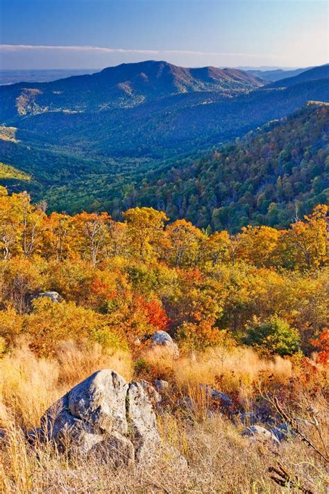 Autumn in Shenandoah National Park Stock Image - Image of flora, season ...