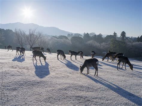 The 50 Most Beautiful Places in Asia - Photos - Condé Nast Traveler ...