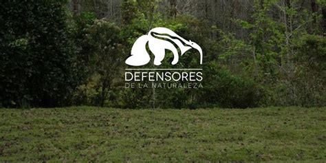 Cómo pertenecer a Defensores de la Naturaleza Aprende Guatemala