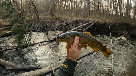 Wisconsin Trout Fishing 4262023 Youtube