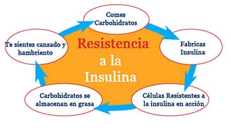 Diabetes Resistencia A La Insulinadiabetes