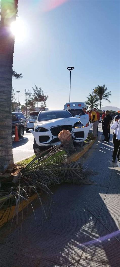 Familia choca contra palmeras en Mazatlán Luz Noticias