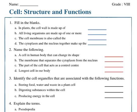 Cell Organelles Structure And Function Worksheet WordMint