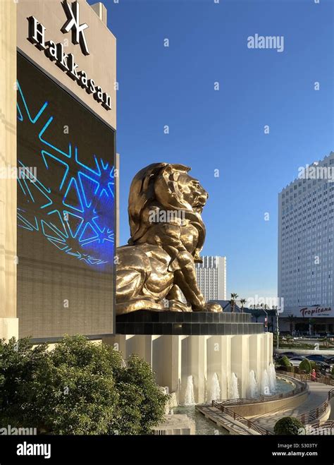 Mgm Lion Hi Res Stock Photography And Images Alamy