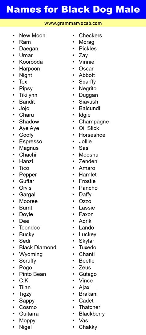 List of Male Black Dog Names - GrammarVocab