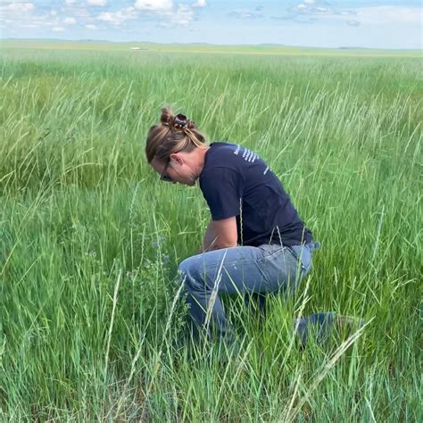 The Hidden Power Beneath Our Feet