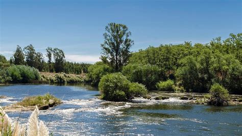 Cuándo empieza la primavera en Argentina día y hora del equinoccio