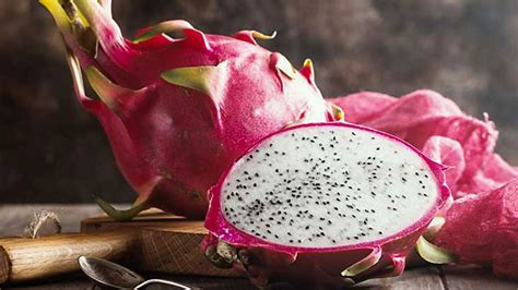 How To Grow Dragon Fruit In Pots Step By Step Process Explained