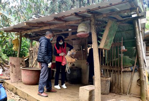 打好春季动物“防疫针” ，筑牢畜禽养殖 “安全网”贺州广西壮族自治区农业农村厅