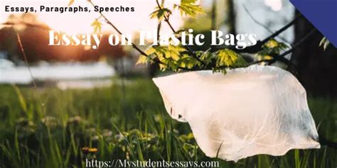 Essay On Plastic Bags Effects Of Plastic Bags Essay For Students