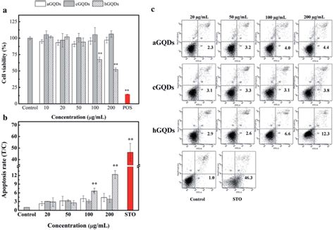 Cytotoxicity Assays Of Gqds A Cell Viability Results Via Wst Assay