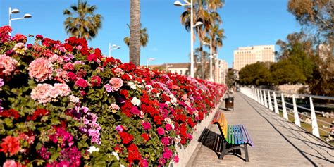 Valencia in March: Weather, Things to Do & What to Wear